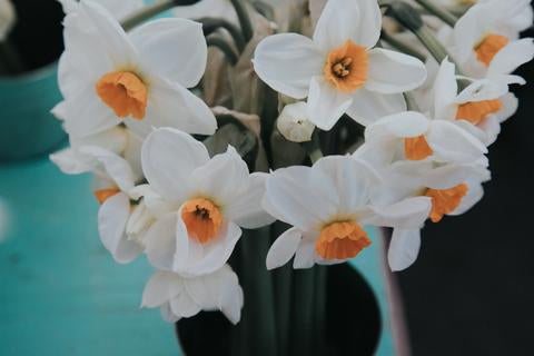 SATURDAY MARKET | Shop Local