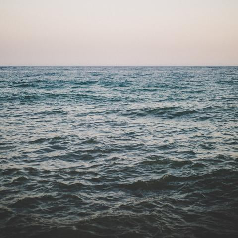 SALT STATEMENT | Plastic Free Operations