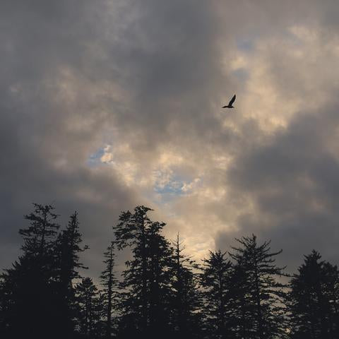 ADVENTURE 07 | Shifting Shorelines