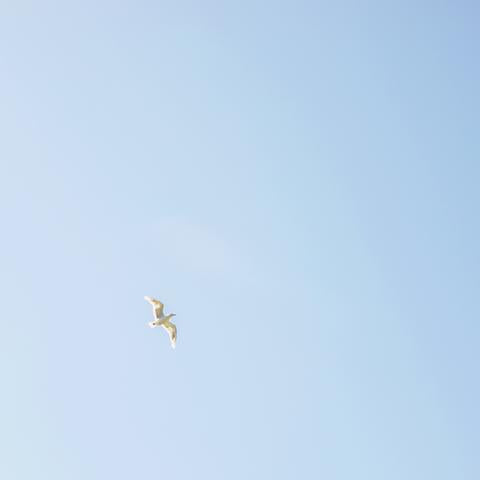 ADVENTURE 04 | Desolation Sound