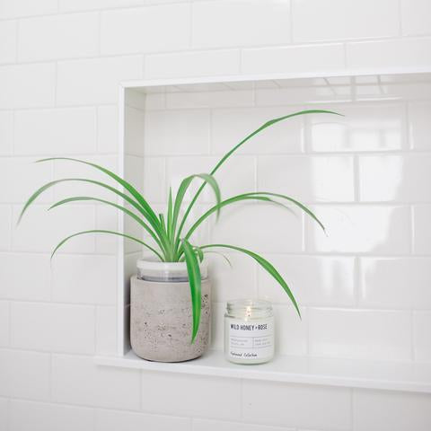 HOME | A Sanctioned Space