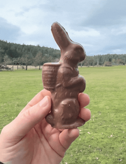 Peter the Bunny | Milk Chocolate