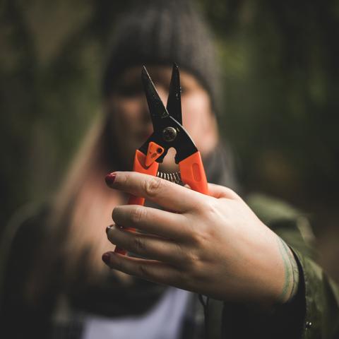 HOLIDAY FORAGING | Outside Cheer